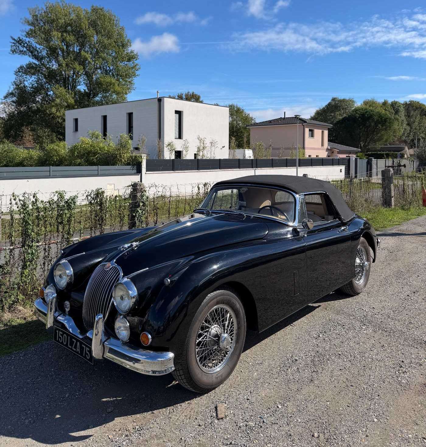Jaguar Série - XK