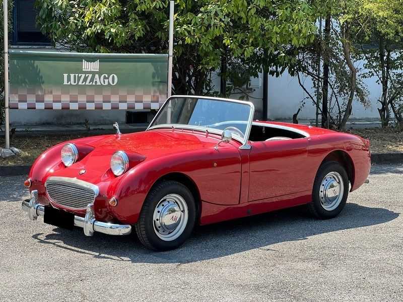 Austin Healey Sprite Frogeye