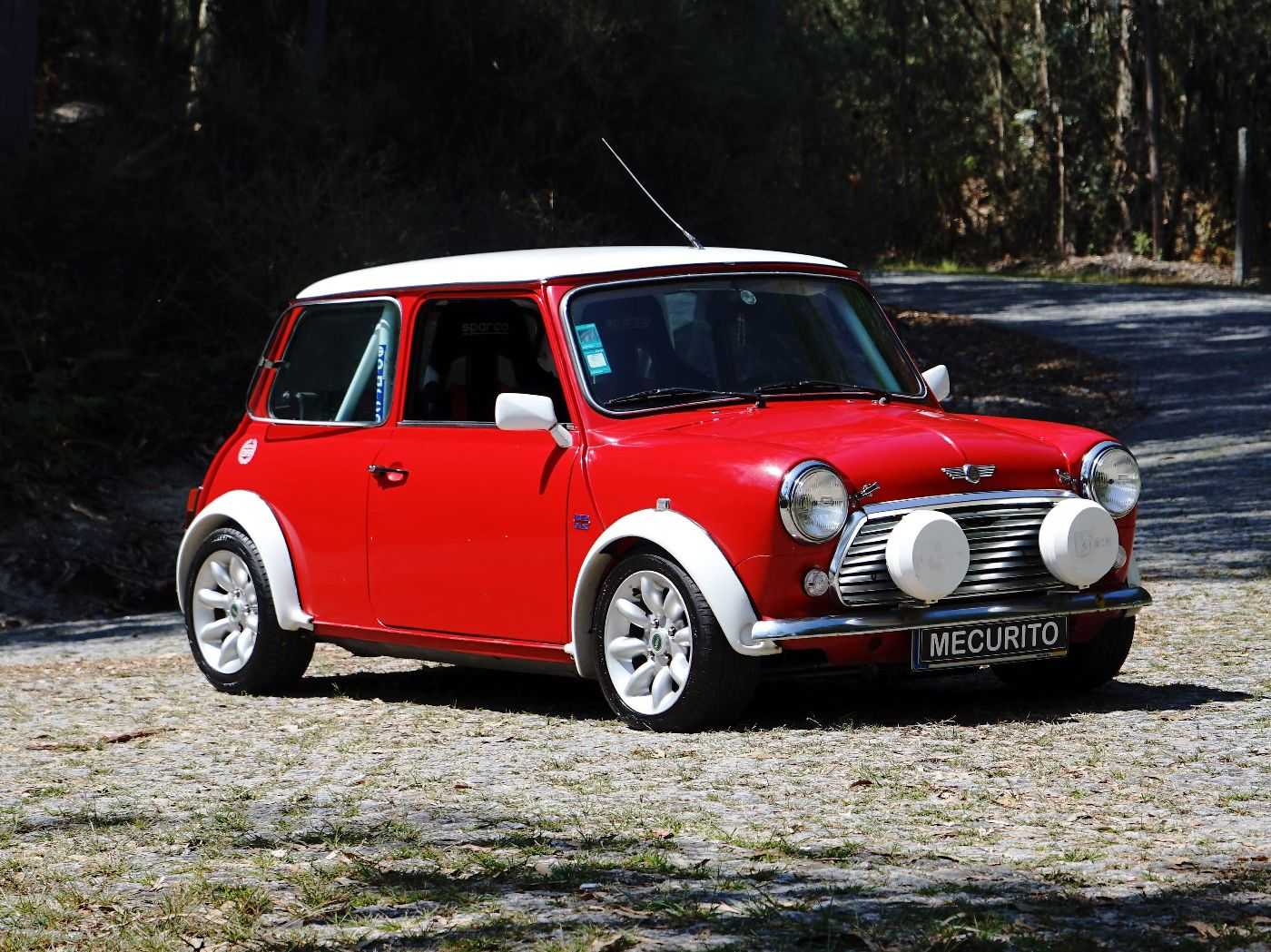 Mini 1000