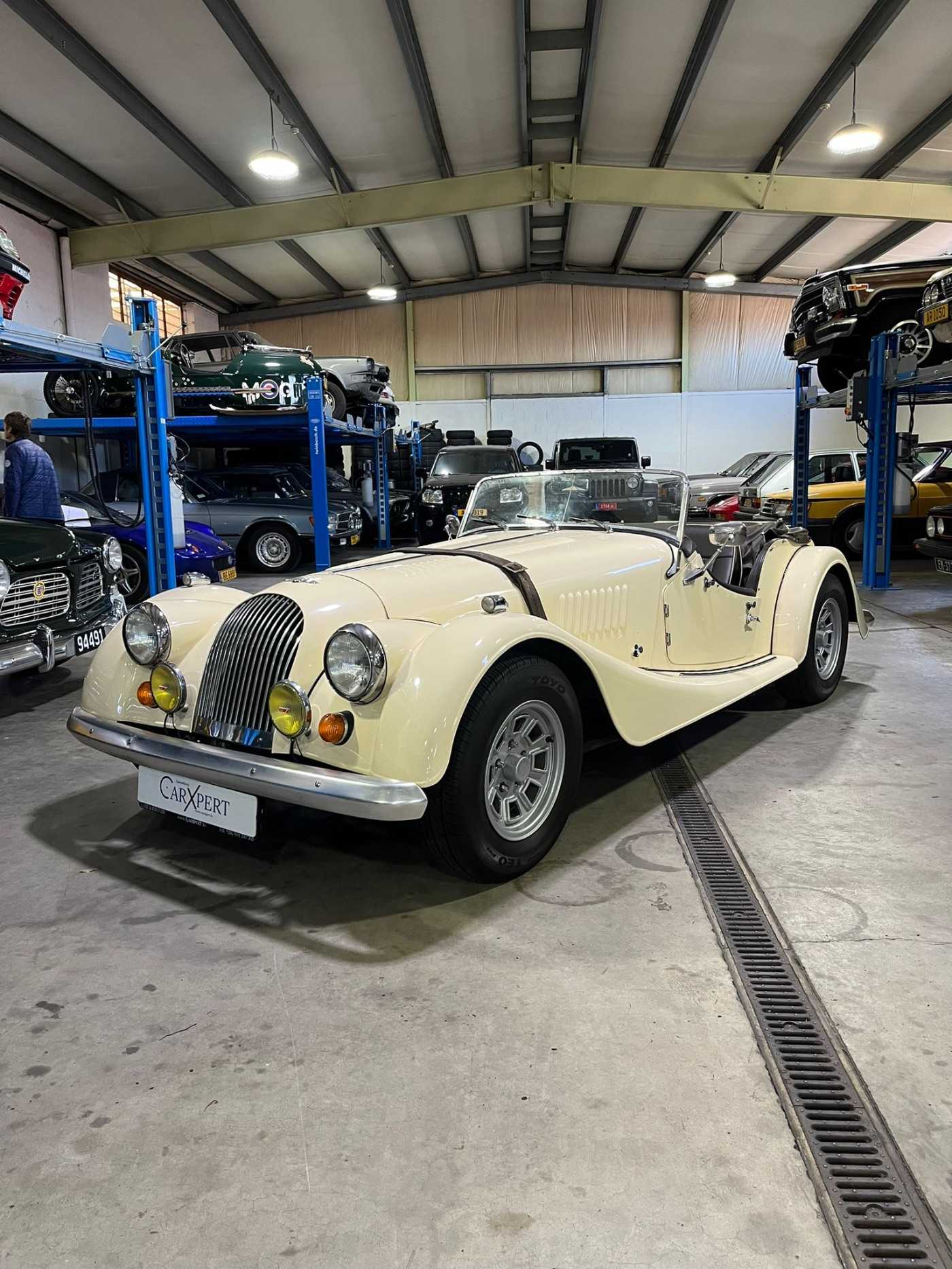 Morgan +8