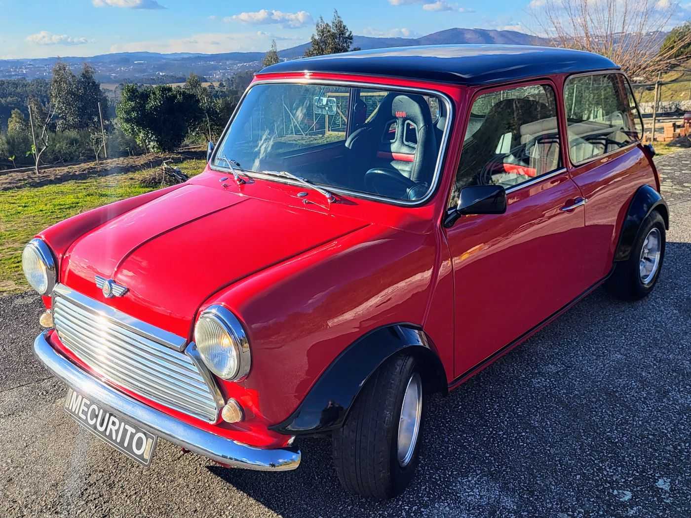 Mini 1000