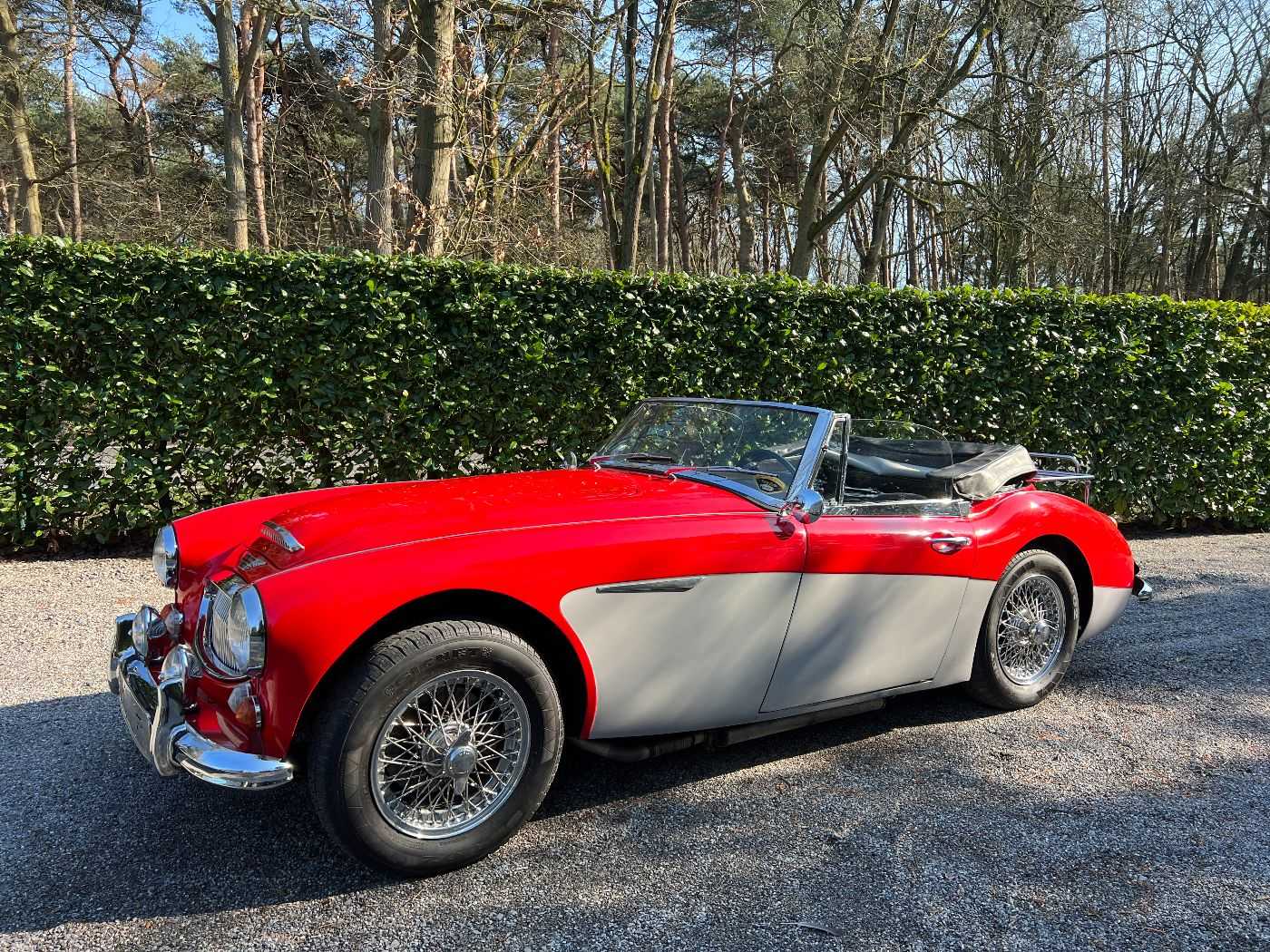 Austin Healey 3000
