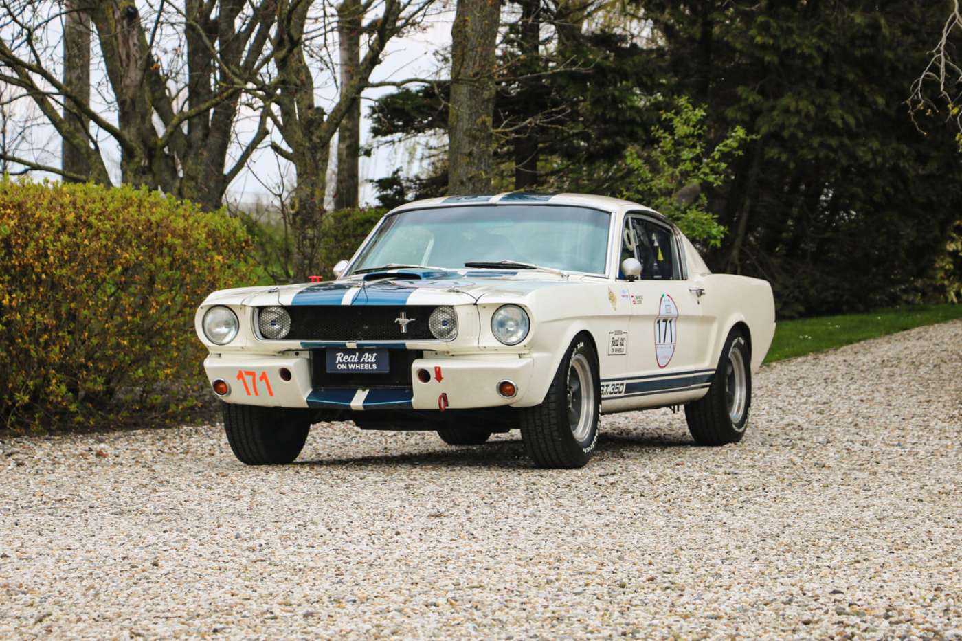 Shelby GT