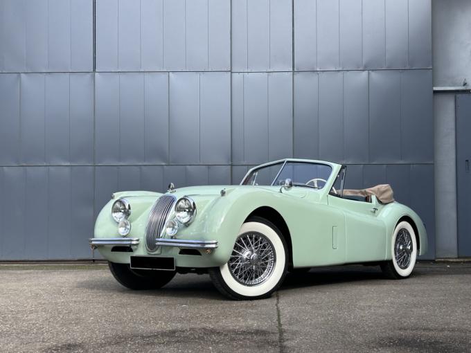 Jaguar Série - XK 120 DHC de 1953