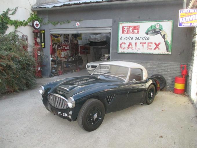 Austin Healey 100 BN 6 MM / Mille Miglia de 1958