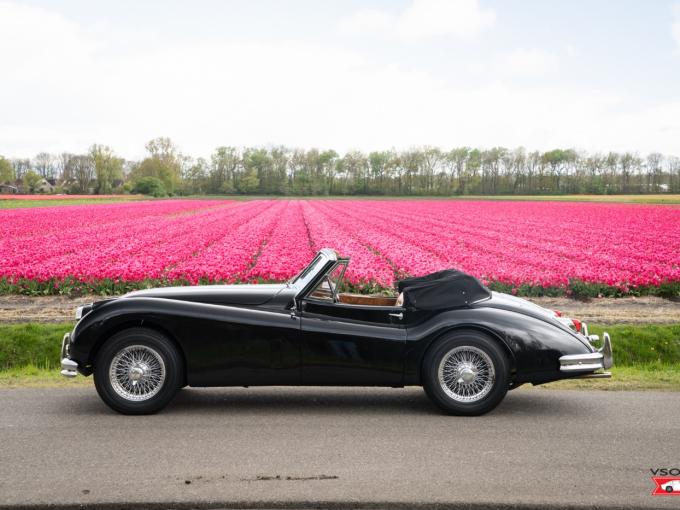 Jaguar Série - XK 140 DHC | Matching number example de 1955