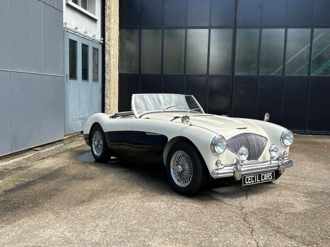 Austin Healey 100  de 1956