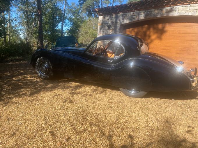 Jaguar Série - XK 120 fhc  de 1954