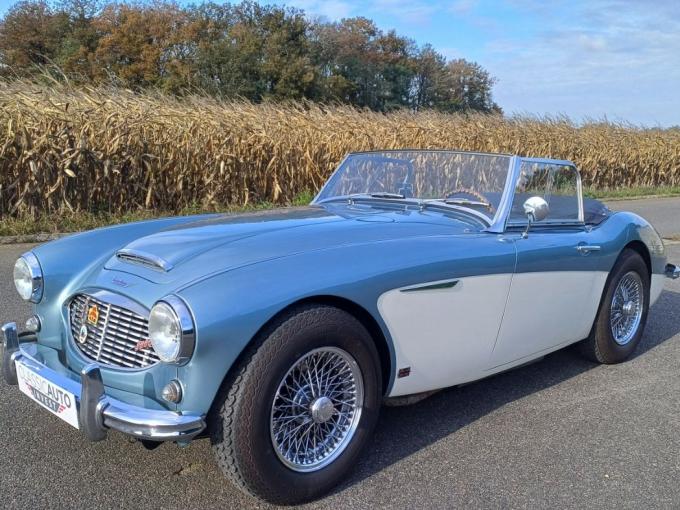 Austin Healey 3000 BT7 mk1 de 1959