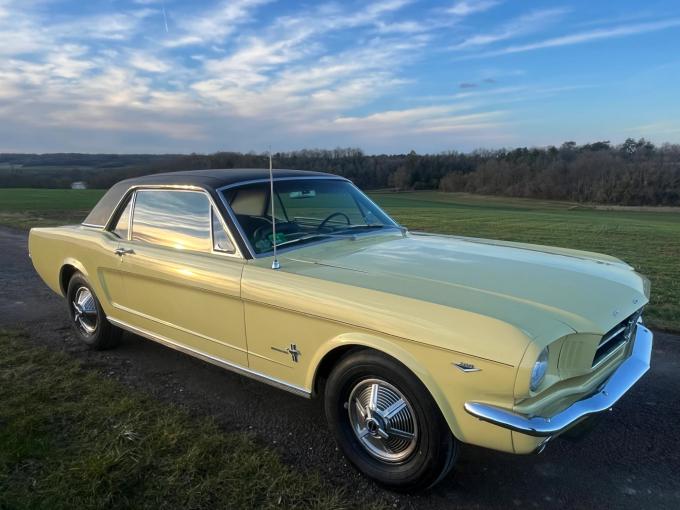 Ford Mustang coupé code D 1964 1/2 de 1964