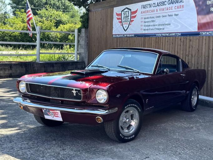 Ford Mustang FASTBACK SHELBY CLONE GT 350 TRIBUTE  de 1965