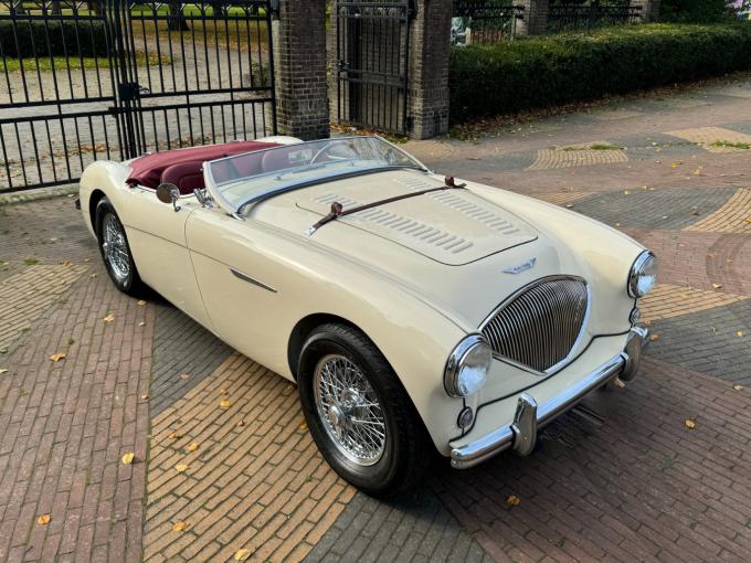 Austin Healey 100 / 4 BN2 de 1955