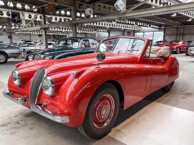 Jaguar Série - XK 120 DHC Roadster de 1954