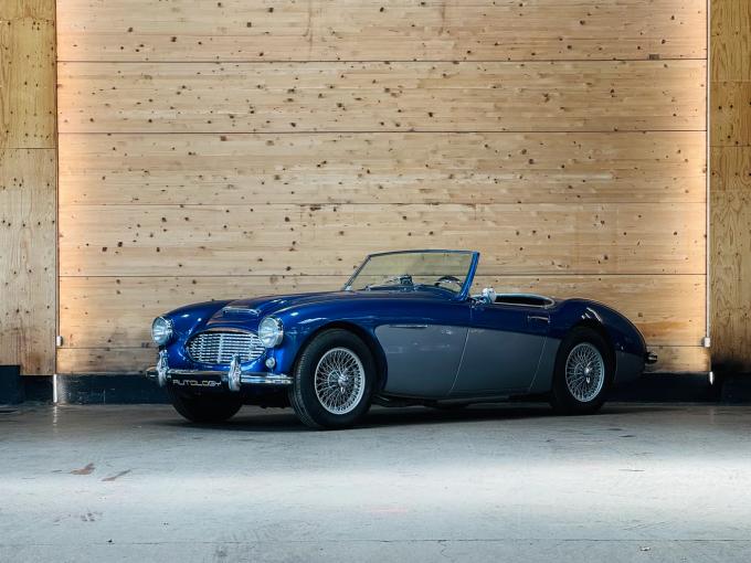 Austin Healey 100 / 6 BN6 de 1959