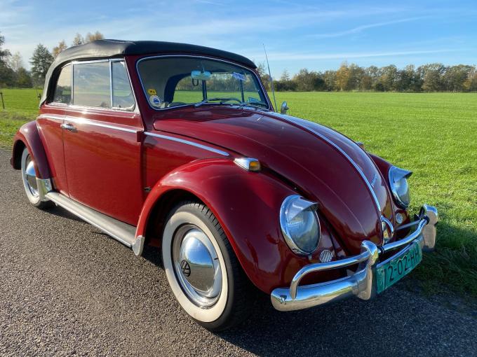 Volkswagen Coccinelle 1965 Cabrio body off restored de 1965