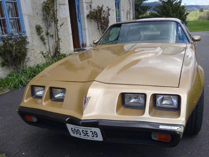 Pontiac Firebird 4,9 l turbo de 1980