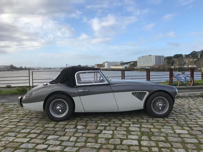 Austin Healey 3000  de 1961