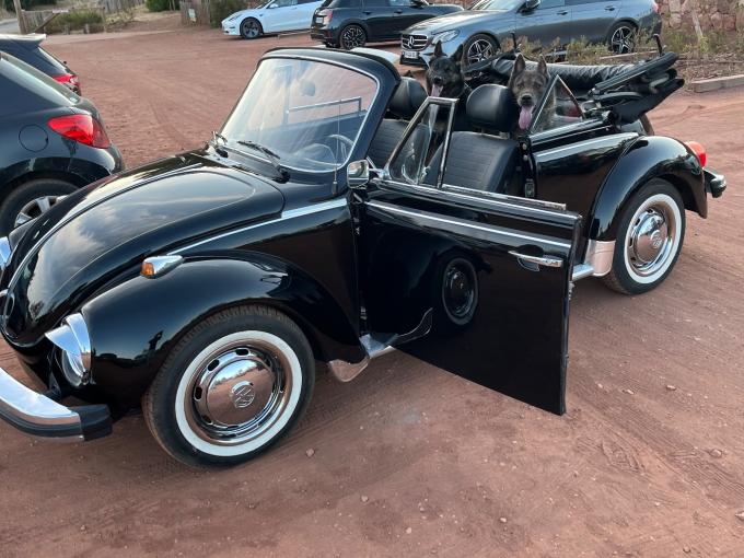 Volkswagen Coccinelle Karman  de 1979