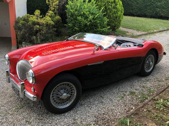 Austin Healey 100 BN1 de 1954