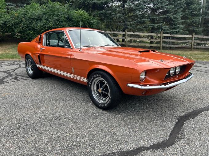 Ford Mustang Shelby GT 500 de 1967