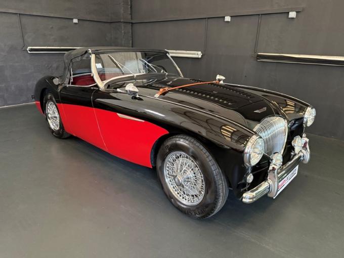 Austin Healey 100 BN1 ROADSTER 2.6 de 1955