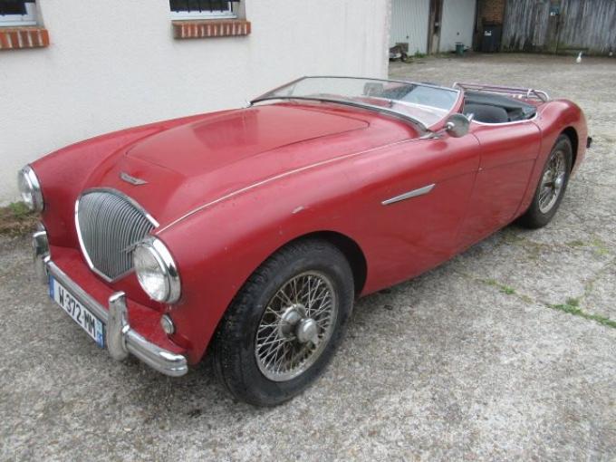 Austin Healey 100 BN1 de 1955