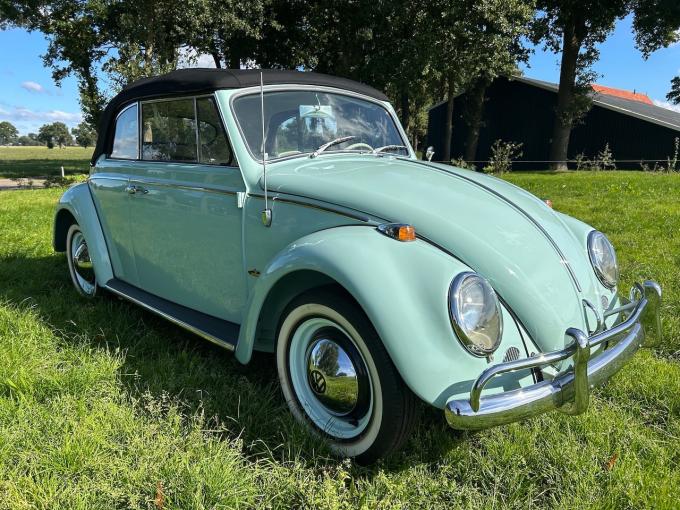 Volkswagen Coccinelle 1965 Cabrio body off restored de 1965