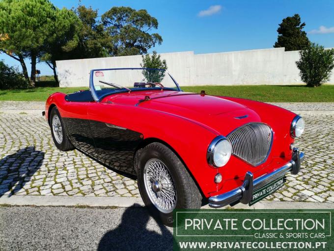 Austin Healey 100 BN1 de 1955