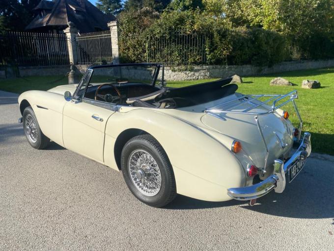 Austin Healey 3000 MK3 BJ8 de 1967