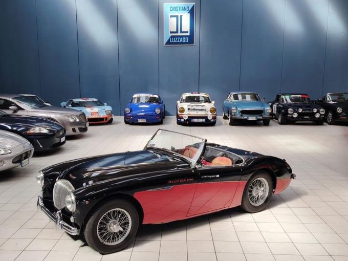 Austin Healey 100 - 4 BN2 de 1956