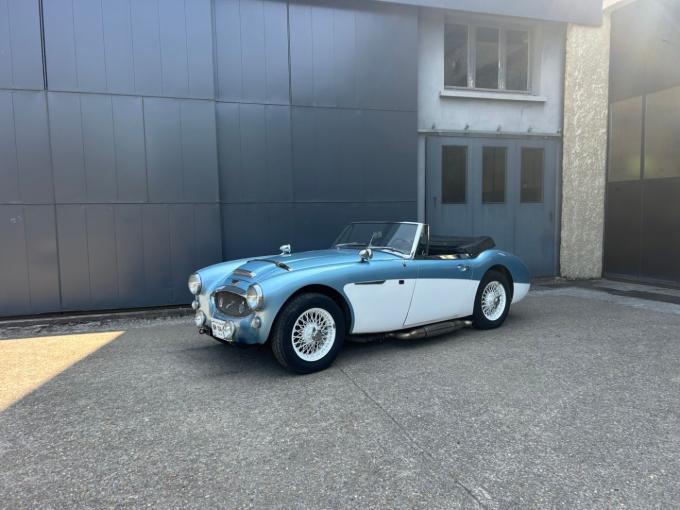 Austin Healey 3000 MKIII BJ8 de 1965
