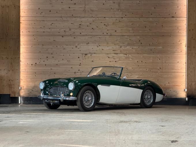 Austin Healey 100 / 6 BN4 de 1959
