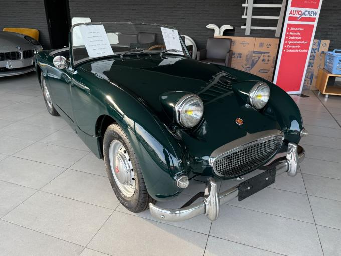 Austin Healey Sprite Frogeye  de 1959