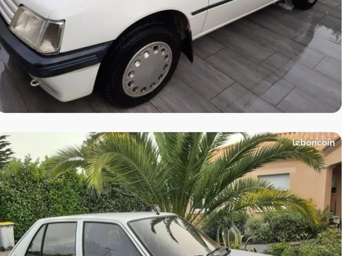 Peugeot 205 Sacr&eacute; Num&eacute;ro  de 1995
