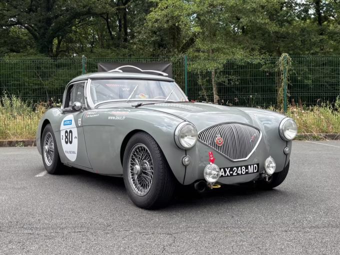 Austin Healey 100 / M BN1 FIA de 1955