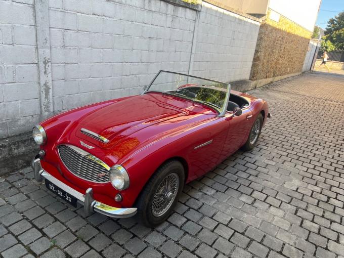 Austin Healey 3000 MKI BT7 de 1959