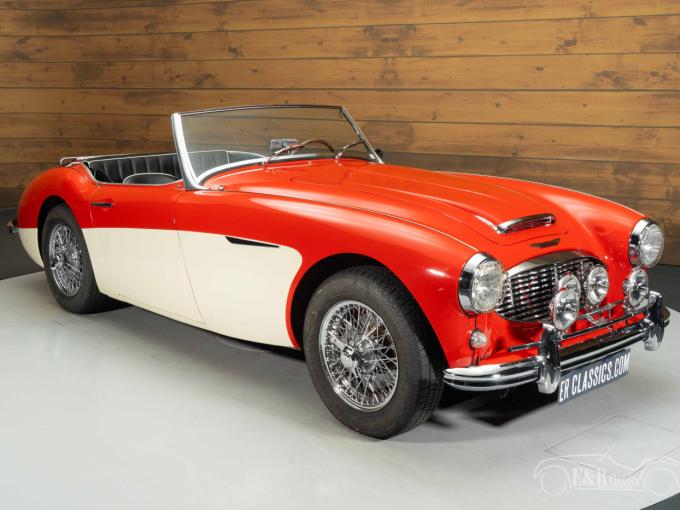 Austin Healey 100 / 6 de 1958