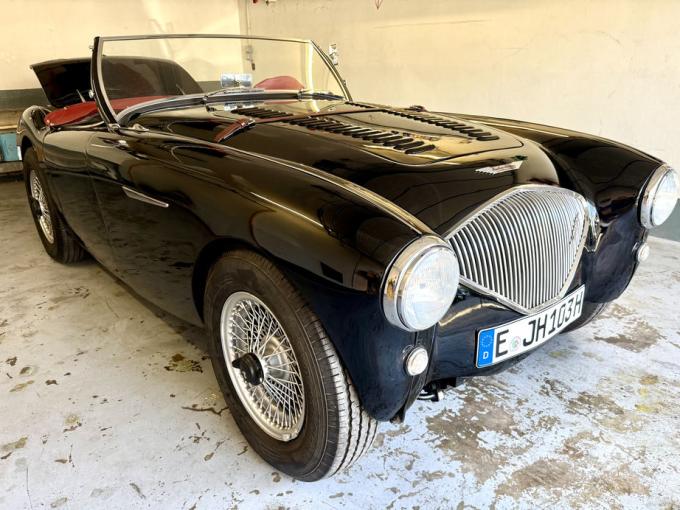 Austin Healey 100 / 4 BN1 de 1954