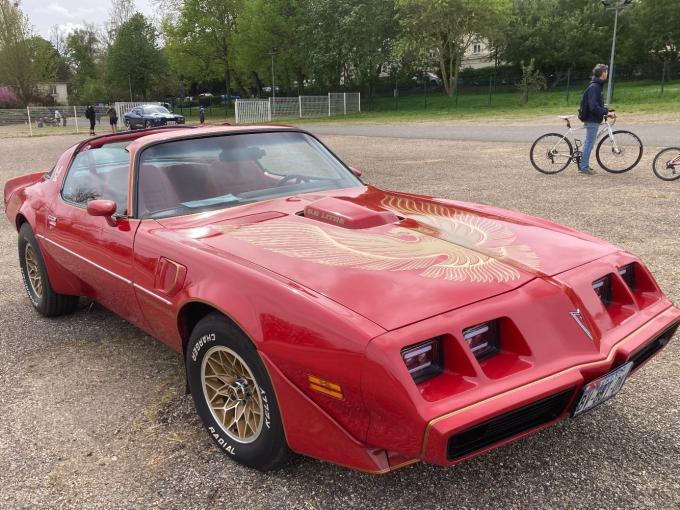 Pontiac Firebird transam de 1981