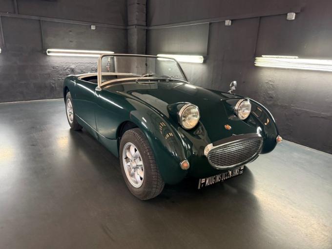 Austin Healey Sprite Frogeye  de 1960