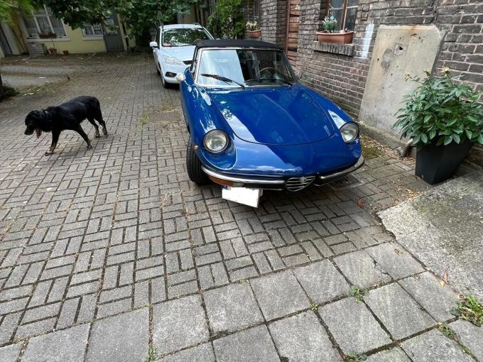 Alfa Roméo Spider 1600 - 1981 de 1981