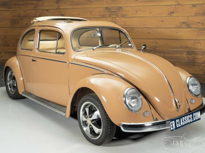 Volkswagen Coccinelle Oval Ragtop de 1957