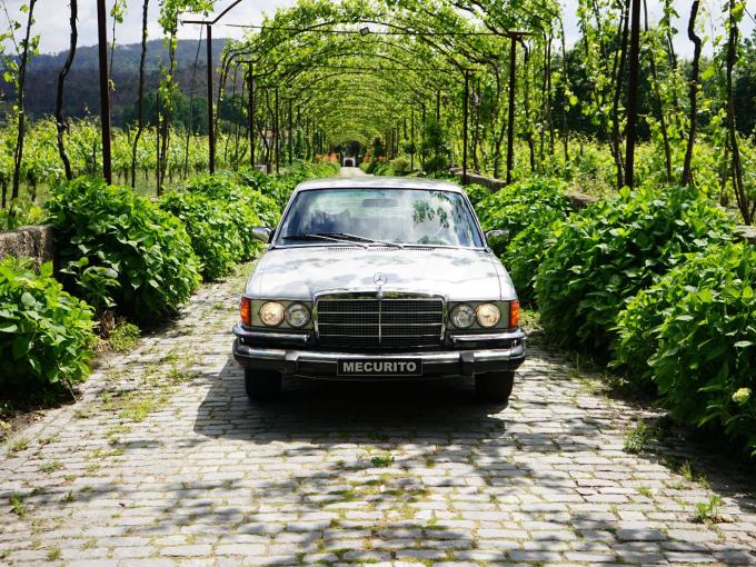 Mercedes-Benz 300 SD W116 de 1980