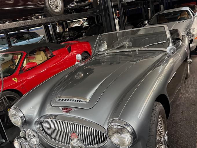 Austin Healey 3000  de 1964