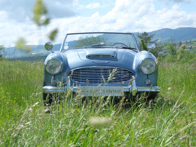 Austin Healey 100 BN4 de 1959