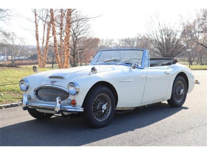Austin Healey 3000 Mk III BJ8 de 1966