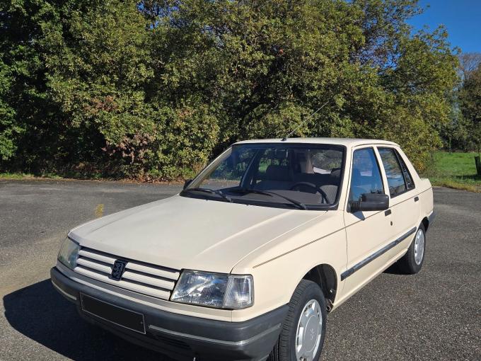 Peugeot 309 1.6 GR de 1990