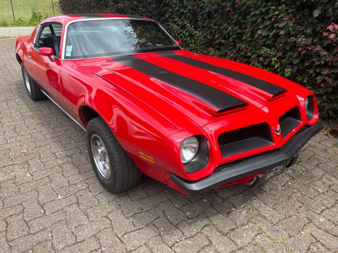 Pontiac Formula PONTIAC FIREBIRD TRANS AM SD455 de 1974