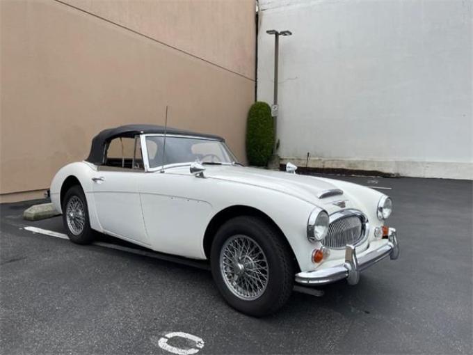 Austin Healey 3000 Mk III de 1966