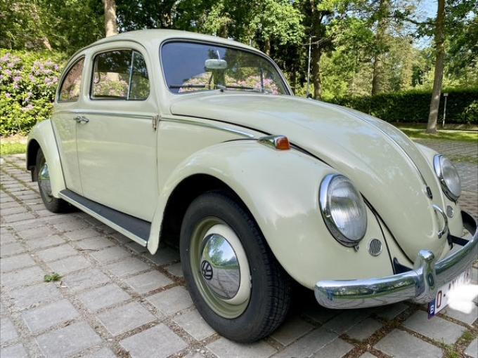 Volkswagen Coccinelle 1200 Coupé de 1960